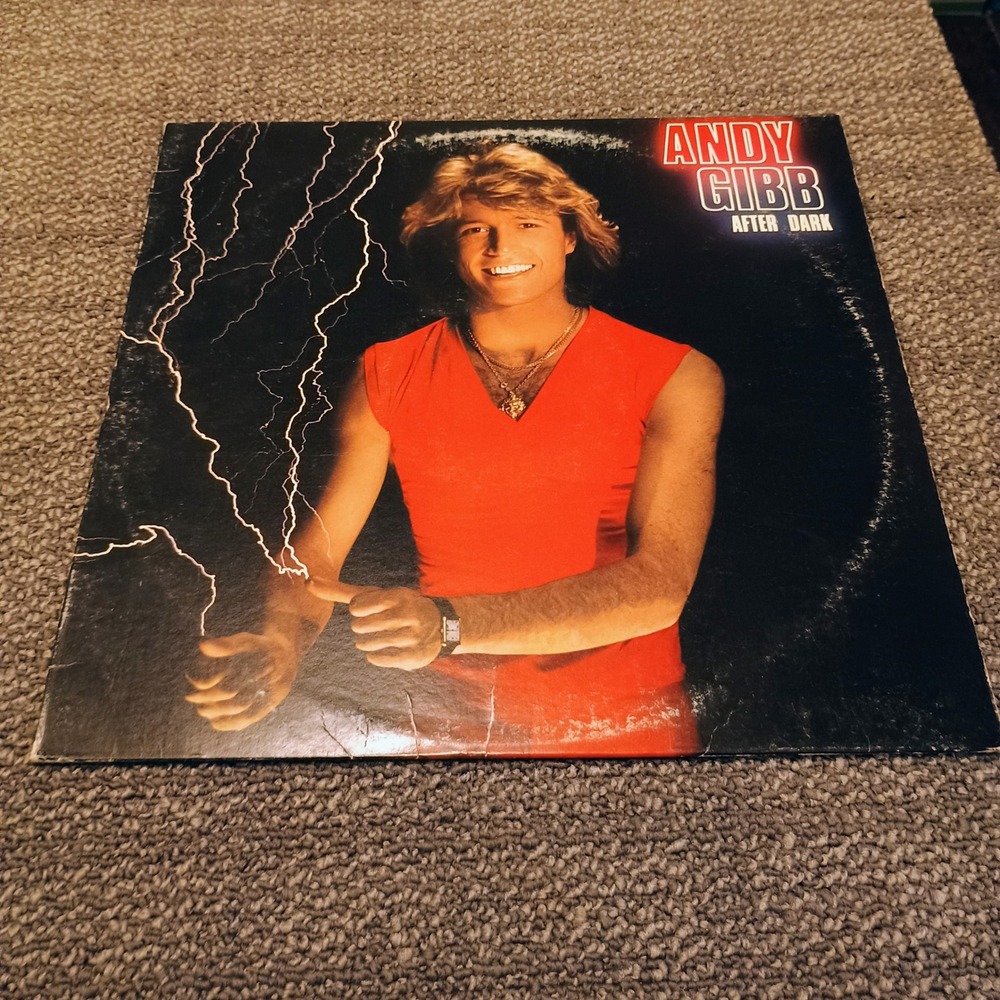 Andy Gibb After Dark Vinyl Record Album LP RSO RS-1-3069 1980 Pop Disco